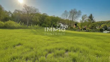 Weitläufige grüne Wiese mit Bäumen und einem Haus im Hintergrund unter strahlendem Sonnenschein.