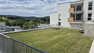 Dachgarten mit Rasenfläche und weitem Blick über die grüne Landschaft und umliegende Hügel.