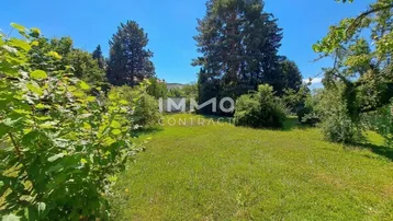 Große Rasenfläche mit Bäumen und Sträuchern unter blauem Himmel, ideal für Gartengestaltung.