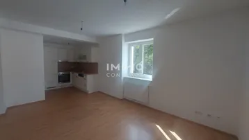 Heller offener Wohnbereich mit integrierter Küche, Parkettboden und Fenster mit Blick ins Grüne.