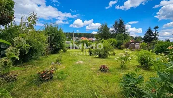 Grüner Gartenbereich mit verschiedenen Pflanzen und Bäumen unter blauem Himmel.