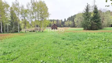 Weite grüne Wiese mit einem kleinen Holzhaus im Hintergrund, umgeben von Bäumen unter bewölktem Himmel.