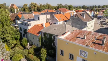 Weitläufige Dachlandschaft einer historischen Stadt mit verschiedenen Gebäuden und Dächern.