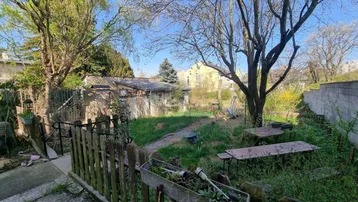 Verwilderter Gartenbereich mit alten Bäumen, Rasenfläche und einfacher Sitzgelegenheit im Freien.