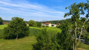 Weitläufige grüne Landschaft mit einem Haus im Hintergrund unter blauem Himmel.