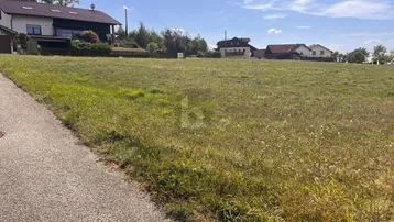 Weitläufiges grünes Grundstück mit Blick auf umliegende Wohnhäuser unter blauem Himmel.