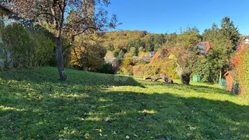 Sonniges Grundstück mit Rasenfläche, Bäumen und Blick auf die umliegende Natur und Häuser.