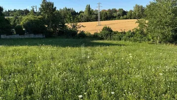 Weitläufige grüne Wiese mit Wildblumen und Blick auf Felder und Bäume unter blauem Himmel.
