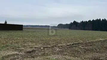 Weites Feld mit Waldrand unter bewölktem Himmel, das eine ländliche Aussicht bietet.