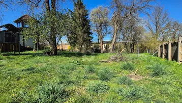 Großer, sonniger Garten mit altem Baumbestand und einfacher Holzkonstruktion im Hintergrund.