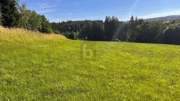 Weitläufige grüne Wiese mit Waldrand im Hintergrund unter blauem Himmel.