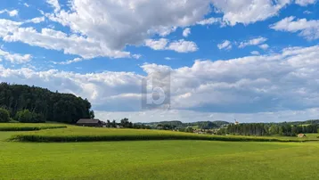Weitläufige grüne Felder mit Blick auf eine ländliche Landschaft und einen bewaldeten Horizont unter blauem Himmel.