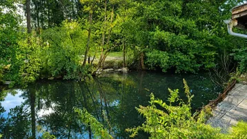 Natürlicher Teich umgeben von üppigem Grün und Bäumen, der eine ruhige Atmosphäre schafft.
