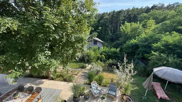 Geräumige Terrasse mit Essbereich und Liegestühlen, umgeben von üppigem Grün und Wald.