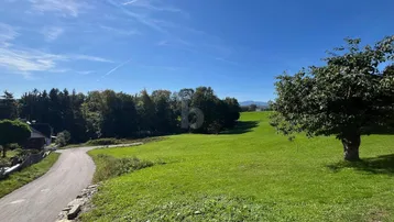 Weitläufige grüne Landschaft mit einer Straße, Bäumen und einem klaren blauen Himmel.