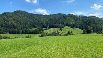 Weite grüne Wiesen und bewaldete Hügel unter blauem Himmel mit einem Haus in der Ferne.