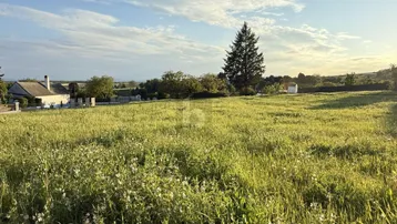 Weite grüne Wiese mit vereinzelten Häusern im Hintergrund unter einem bewölkten Himmel.
