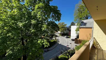 Sonniger Balkon mit Blick auf die ruhige Wohnstraße und grüne Bäume.