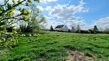 Weitläufige grüne Wiese mit einem Wohnhaus im Hintergrund unter blauem Himmel und Sonnenschein.