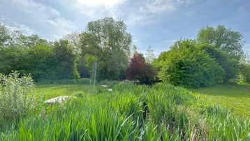 Üppige Grünfläche mit hohem Gras und Bäumen unter einem sonnigen Himmel.