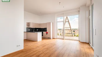 Offener Wohnbereich mit integrierter Küchenzeile, Holzboden und Zugang zur Terrasse.