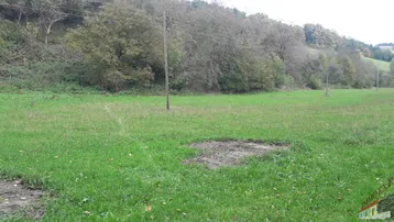 Weitläufige grüne Wiese mit Bäumen im Hintergrund, ideal für ländliche Aktivitäten.
