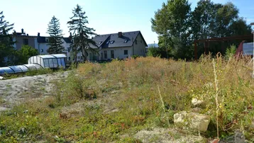 Überwachsenes Grundstück mit einem Haus im Hintergrund und einem kleinen Gewächshaus unter blauem Himmel.