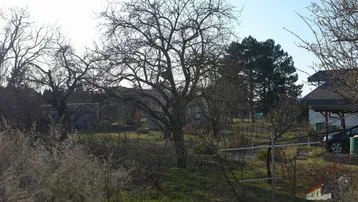 Naturbelassener Gartenbereich mit alten Bäumen und viel Grünfläche, ideal für Erholung im Freien.
