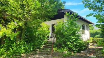 Einfamilienhaus umgeben von üppigem Grün und Bäumen mit Zugang über eine kleine Treppe.