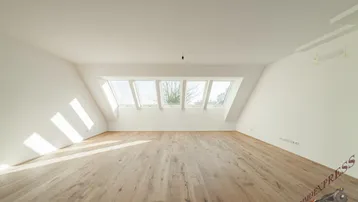 Helles Dachgeschosszimmer mit Holzboden und mehreren Dachfenstern, das viel Tageslicht hereinlässt.
