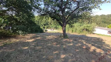 Großes Grundstück mit altem Baum und weitem Blick ins Grüne unter blauem Himmel.