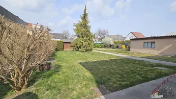 Großer Gartenbereich mit Rasenfläche, Nadelbaum und einem kleinen Holzschuppen im Hintergrund.