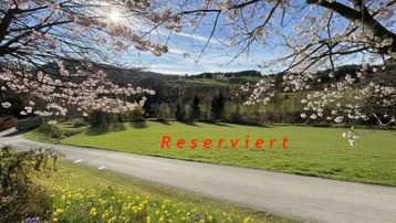 Frühlingslandschaft mit blühenden Bäumen, grünen Wiesen und dem Hinweis 'Reserviert'.