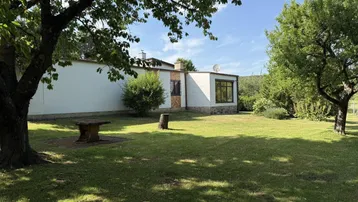 Sonnige Rasenfläche im Garten mit schattenspendenden Bäumen und Blick auf die Hausfassade.