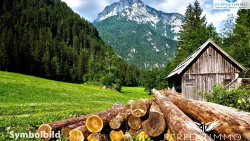 Expose Wald- und Wiesengrundstücke in Arzl im Pitztal