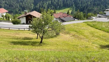 Grüne Wiese mit Bäumen und Blick auf umliegende Häuser und bewaldete Berge.
