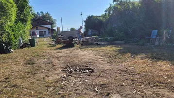 Ungepflegter Gartenbereich mit einem Haus im Hintergrund und einer Person bei der Arbeit.