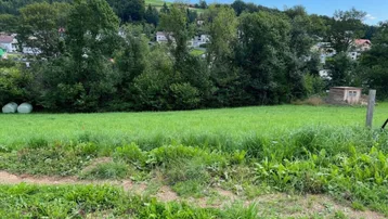 Grünes Feld mit Bäumen und Häusern im Hintergrund unter blauem Himmel und weißen Wolken.