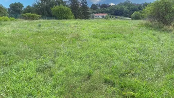 Weitläufige grüne Wiese mit Bäumen im Hintergrund und Blick auf ein entferntes Haus.