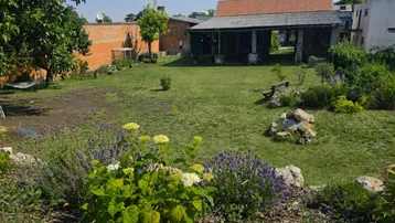 Großer Garten mit Rasenfläche, Blumenbeeten und einem kleinen Schuppen im Hintergrund unter blauem Himmel.