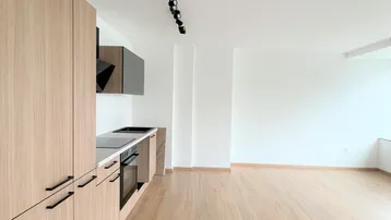 Moderne Einbauküche mit hellen Holzfronten und integrierten Geräten in einem offenen Wohnbereich.