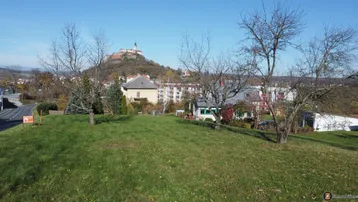 Grünfläche mit Bäumen und Panoramablick auf eine Stadt mit einer historischen Burg auf dem Hügel im Hintergrund.