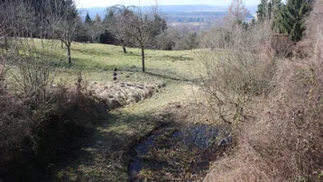 Weitläufige grüne Landschaft mit Bäumen und einem kleinen Teich im Vordergrund.