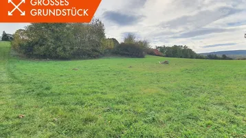 Weitläufiges grünes Grundstück mit Baumbestand und Fernblick auf die umliegende Landschaft unter bewölktem Himmel.