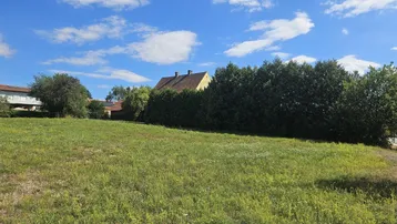 Weitläufige grüne Wiese unter blauem Himmel mit einem Haus und Bäumen im Hintergrund.
