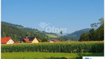 Weitläufige Landschaft mit grünen Feldern, einem Maisfeld und Häusern im Hintergrund unter blauem Himmel.