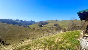 Weitläufiger Blick über die sanften Hügel der Weinberge unter blauem Himmel.