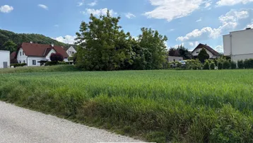 Weitläufiges grünes Feld mit Bäumen und Häusern im Hintergrund unter einem bewölkten Himmel.