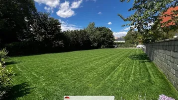 Großer, gepflegter Rasenbereich mit grünen Bäumen im Hintergrund und einer Steinmauer an der Seite.