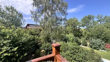 Panoramablick vom Balkon ins Grüne mit hohen Bäumen und viel Natur.